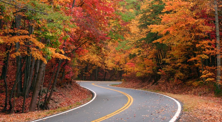 Rural roads more dangerous than urban roads